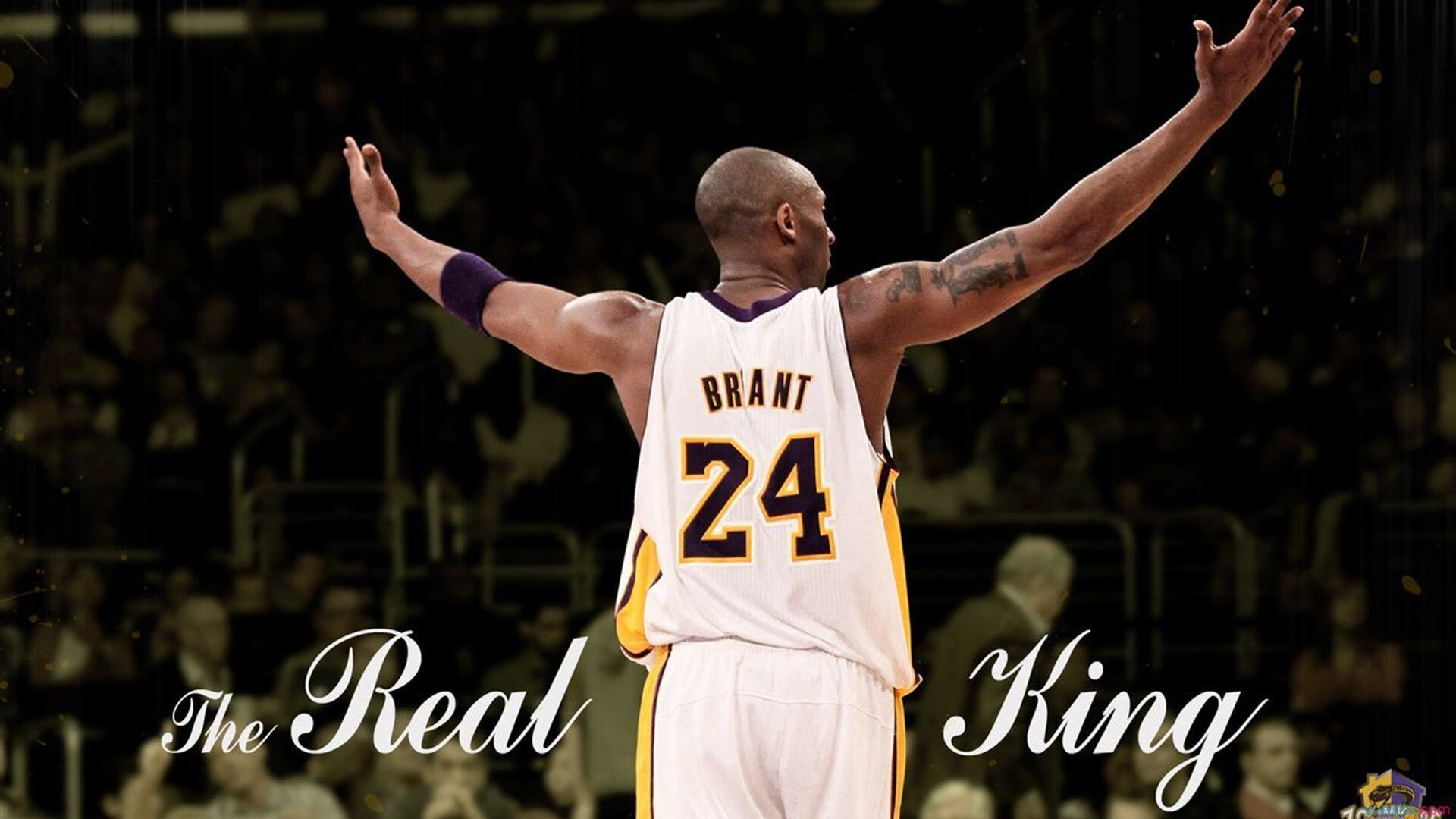 奥运周期关键战之夜，帕尔默打出统治级数据，背后是十年磨一剑的沉默与爆发