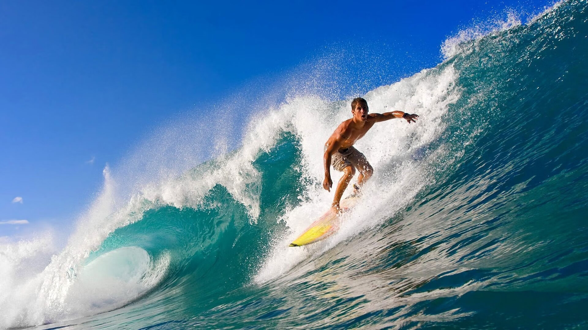 开云体育APP下载-舞台越大，他越强！哈利伯顿闪耀全场，太阳队强势击溃吉林